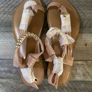 New…never worn sandals! Blush pink with gold accents!
